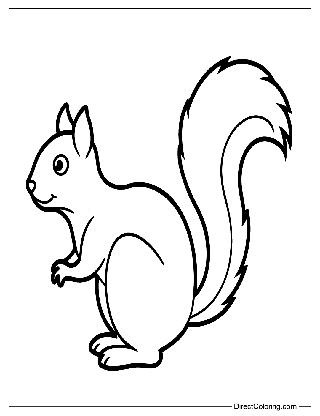 Cute Squirrel Outline Coloring Sheet
